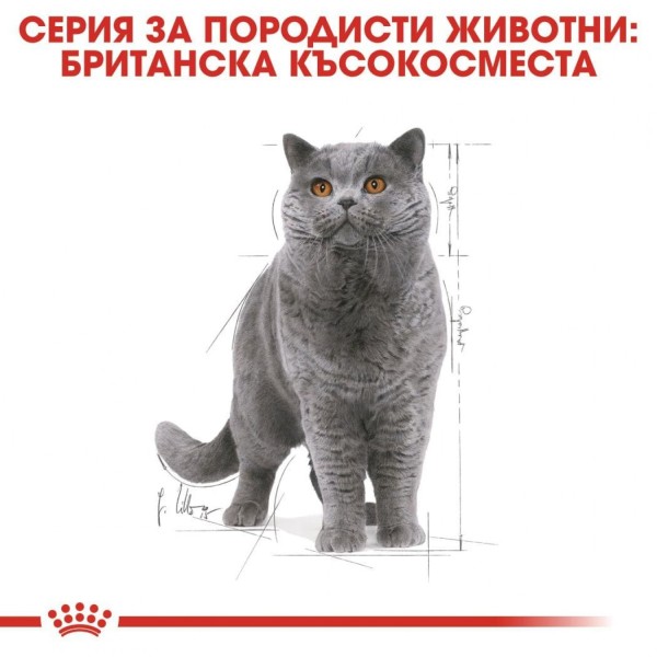 Royal Canin British Shorthair Adult Pouch - Пълноценна мокра храна в пауч за британски късокосмести котки в зряла възраст